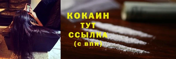 PSILOCYBIN Волосово