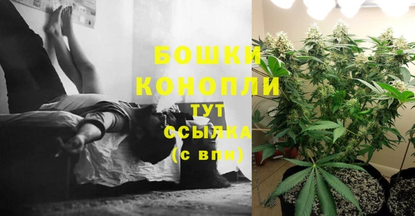 PSILOCYBIN Волосово