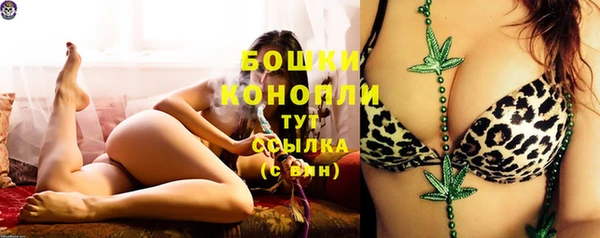 гидра Волоколамск